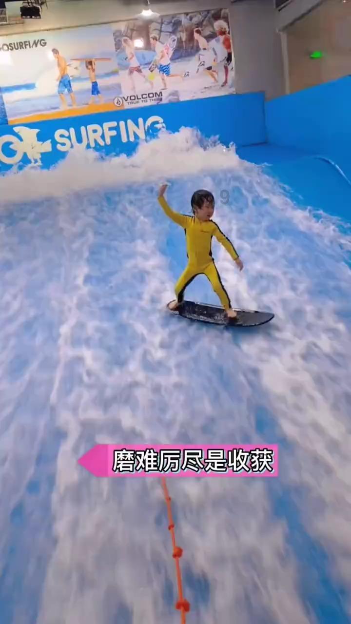 市民驾车与过路的东北虎对视，如果老虎会说话，它会说啥？游戏画面