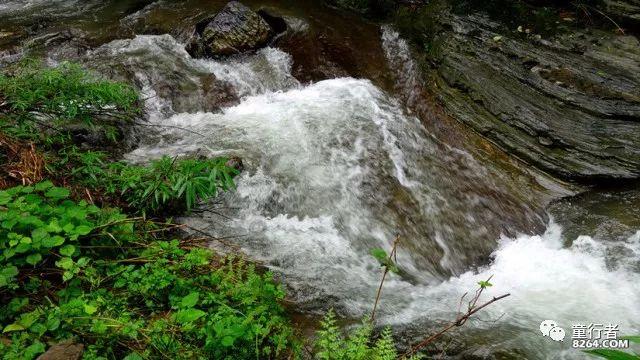 贾玲雷佳音“热辣”欢喜迎新春